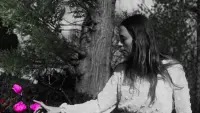 Backdrop to the movie "Nyctophobia" #784101