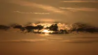 Backdrop to the movie "The Day: The Movie" #668585