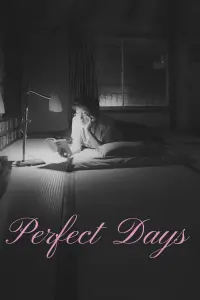 Poster to the movie "Perfect Days" #739991