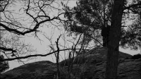 Backdrop to the movie "Time of Flowers" #777605
