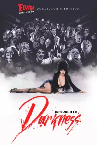 Poster to the movie "In Search of Darkness" #1084381