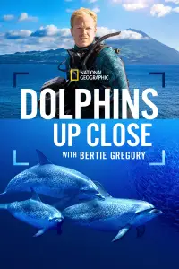Poster to the movie "Dolphins Up Close with Bertie Gregory" #925250