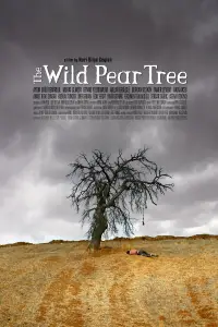 Poster to the movie "The Wild Pear Tree" #1091712