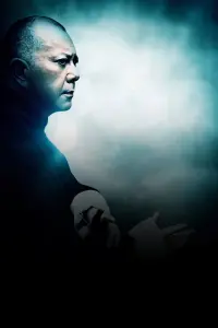 Poster to the movie "Ip Man: The Final Fight" #749769