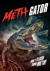 Poster to the movie "Attack of the Meth Gator" #657482