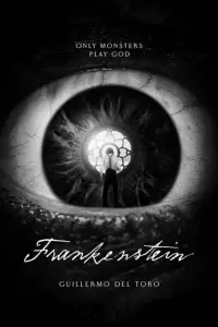 Poster to the movie "Frankenstein" #1003268