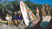 Backdrop to the movie "Birth of The Endless Summer: Discovery of St.Francis" #858616