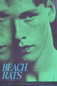 Poster to the movie "Beach Rats" #788716