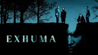 Backdrop to the movie "Exhuma" #930304