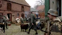 Backdrop to the movie "Feldpost" #614402