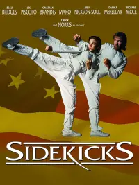 Poster to the movie "Sidekicks" #700594