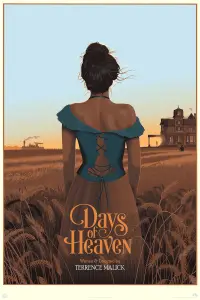 Poster to the movie "Days of Heaven" #716438