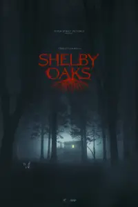 Poster to the movie "Shelby Oaks" #1052254
