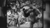 Backdrop to the movie "Mighty Joe Young" #746758