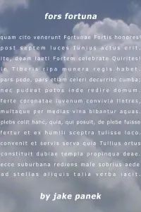 Poster to the movie "fors fortuna" #806382