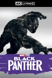 Poster to the movie "Black Panther" #929417