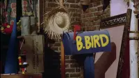 Backdrop to the movie "Follow That Bird" #749163