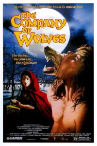Poster to the movie "The Company of Wolves" #959502