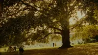 Backdrop to the movie "Three Colors: Blue" #794419