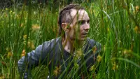 Backdrop to the movie "The Survivalist" #731696