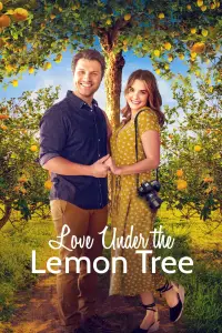 Poster to the movie "Love Under the Lemon Tree" #1071799