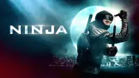 Backdrop to the movie "Ninja" #737432