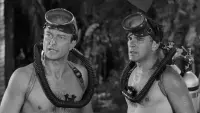 Backdrop to the movie "Creature from the Black Lagoon" #783007