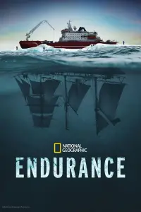 Poster to the movie "Endurance" #667916