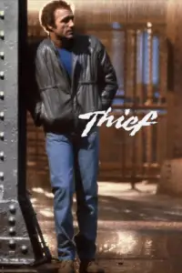 Poster to the movie "Thief" #958376