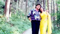 Backdrop to the movie "Chandni" #864034