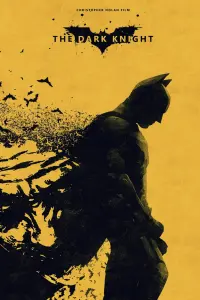 Poster to the movie "The Dark Knight" #667149