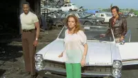 Backdrop to the movie "The Italian Connection" #594956