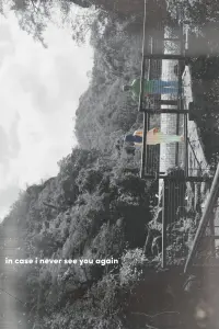 Poster to the movie "in case i never see you again" #820578