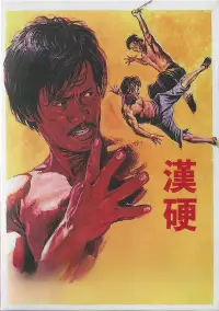 Poster to the movie "Revenge of the Dragon" #1044700