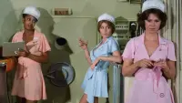 Backdrop to the movie "The Naughty Stewardesses" #829146