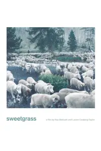 Poster to the movie "Sweetgrass" #1044290