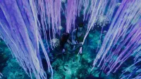 Backdrop to the movie "Avatar" #801245