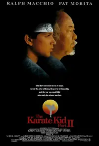 Poster to the movie "The Karate Kid Part II" #670654