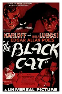 Poster to the movie "The Black Cat" #979704