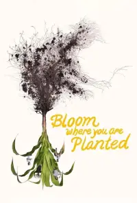 Poster to the movie "Bloom Where You Are Planted" #1009348