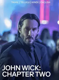 Poster to the movie "John Wick: Chapter 2" #789547