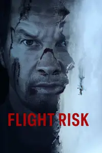 Poster to the movie "Flight Risk" #576318