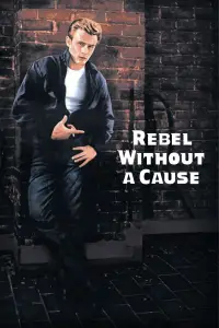 Poster to the movie "Rebel Without a Cause" #1135090