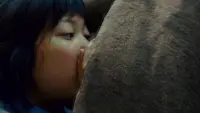 Backdrop to the movie "Okja" #701501