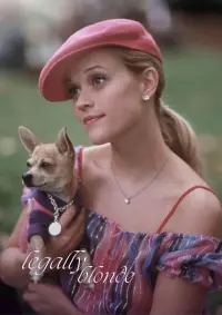 Poster to the movie "Legally Blonde" #701159
