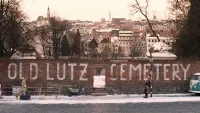 Backdrop to the movie "The Grand Budapest Hotel" #802961