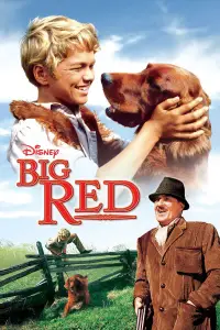 Poster to the movie "Big Red" #743549