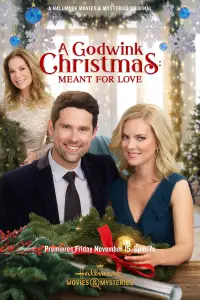 Poster to the movie "A Godwink Christmas: Meant For Love" #1075730