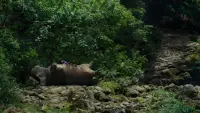 Backdrop to the movie "Okja" #701505