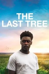 Poster to the movie "The Last Tree" #1197811